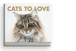 Cats to love